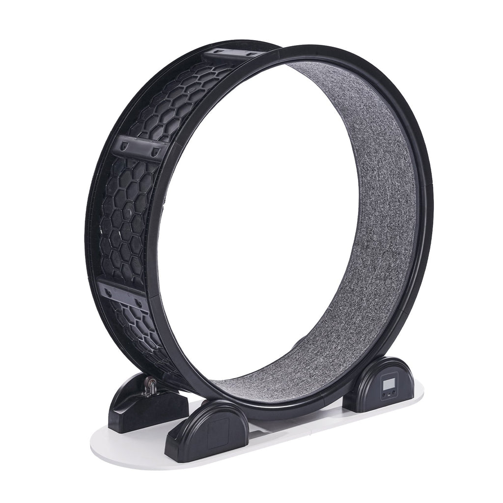 Cat Exercise Wheel With Pedometer, Cat Treadmill For Pet Health & Wellbeing