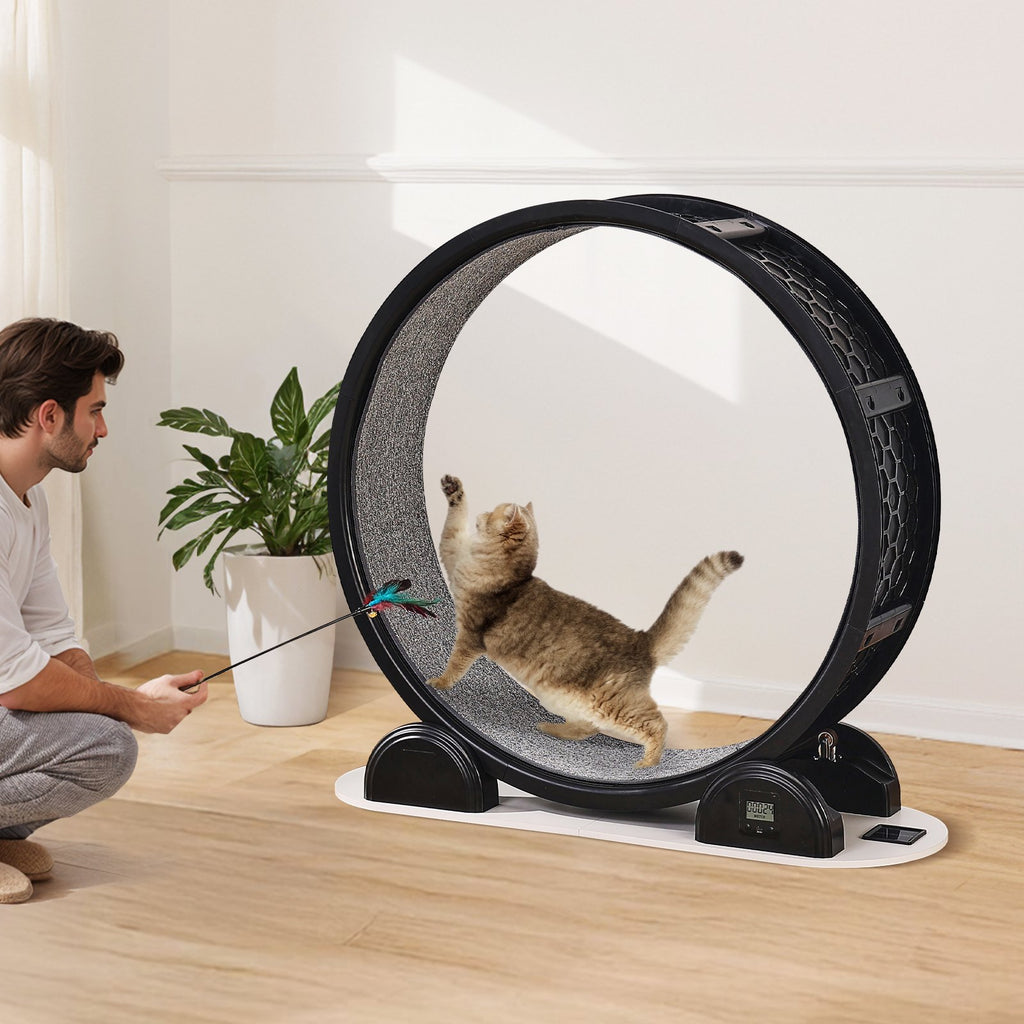 Cat Exercise Wheel With Pedometer, Cat Treadmill For Pet Health & Wellbeing