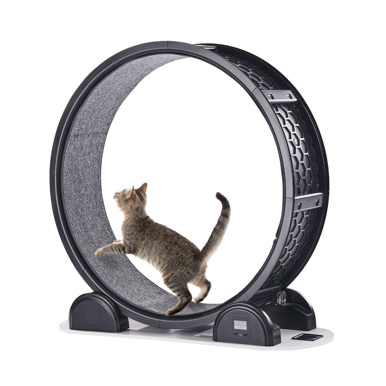 Cat Exercise Wheel With Pedometer, Cat Treadmill For Pet Health & Wellbeing